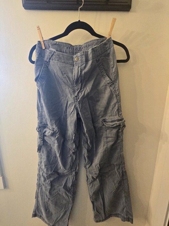 American Eagle Outfitters Pants - American Eagle Stretch Cargo Utility Pants - Faded Slate Blue / Gray - Women's S